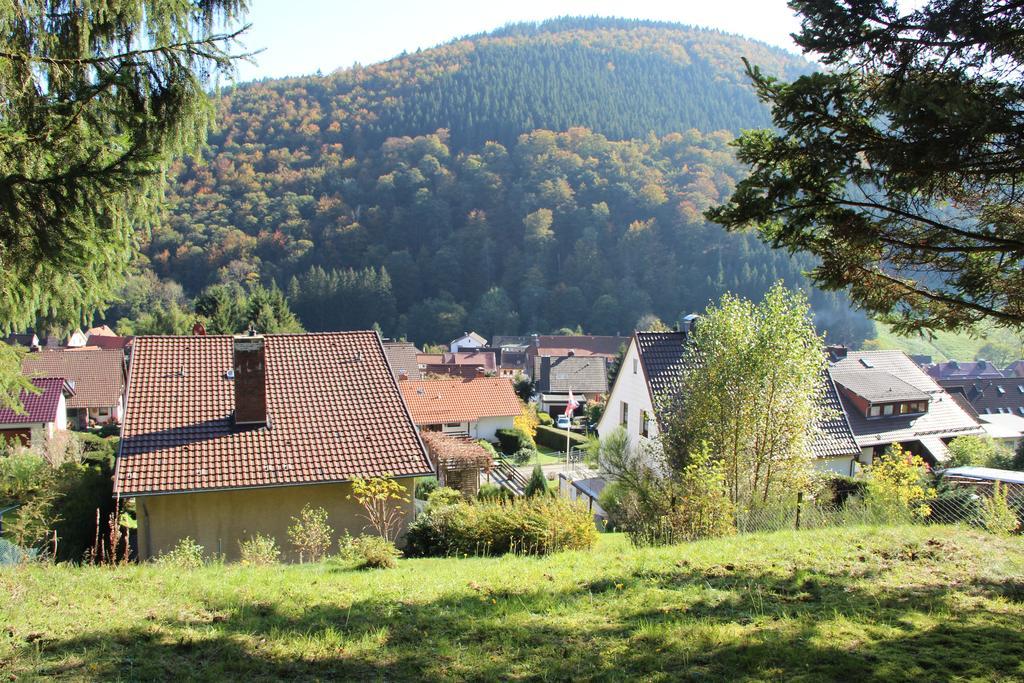 Haus Panoramablick Villa Sieber Værelse billede